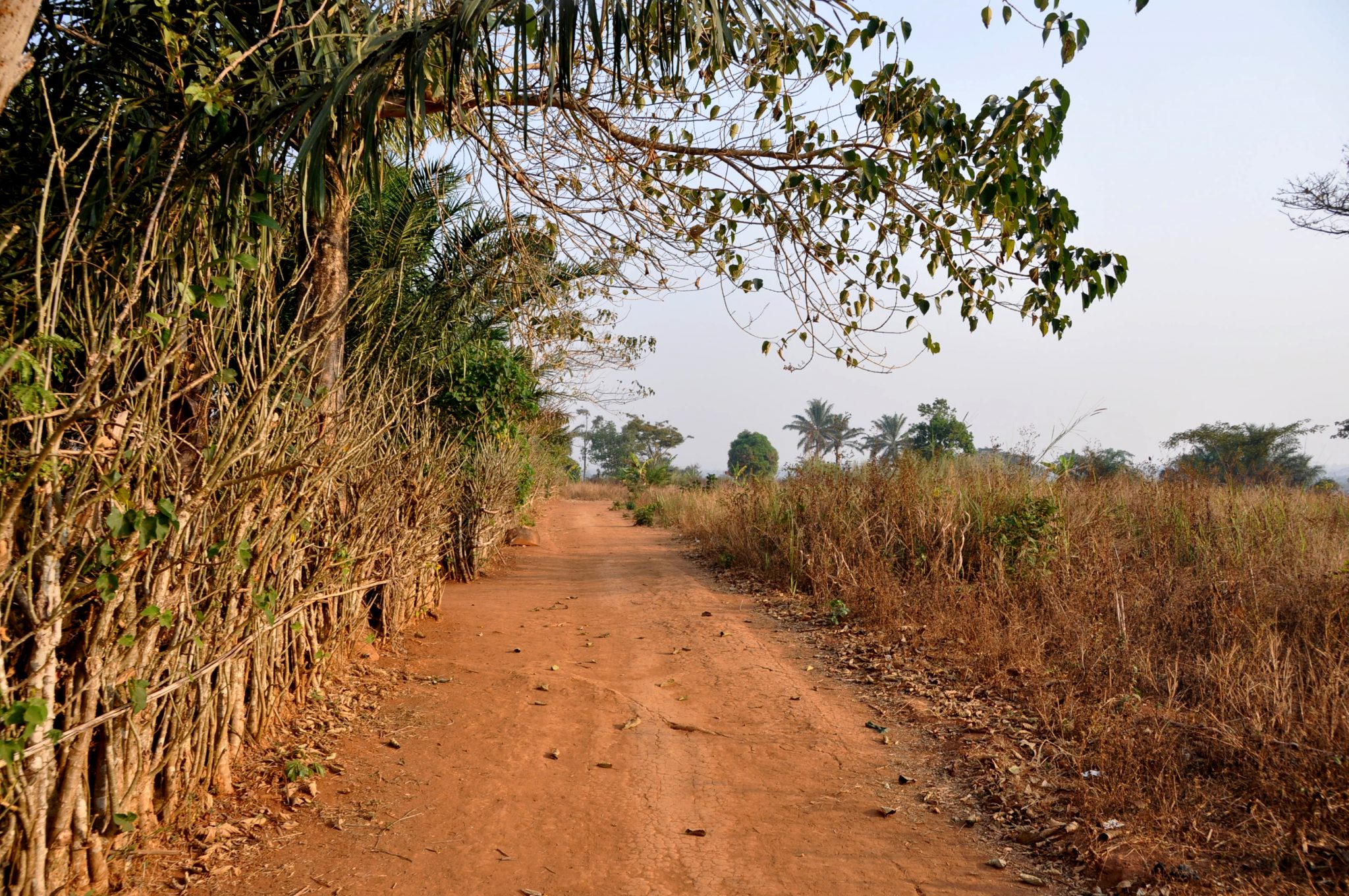 road in bafanji