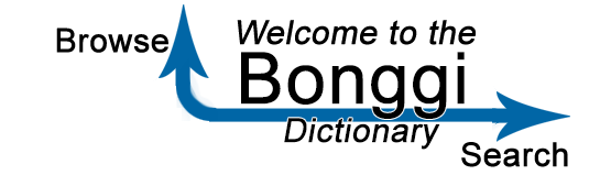 bonggidico3