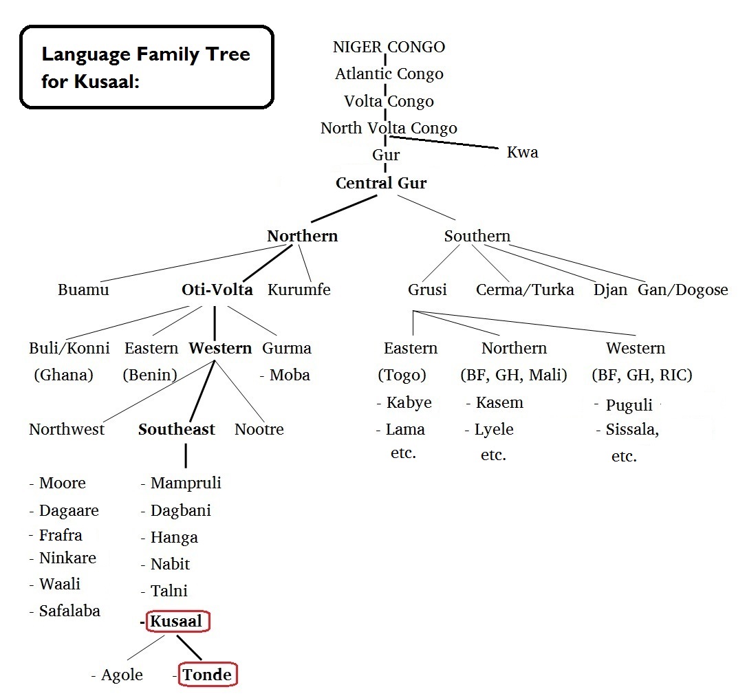 Language family tree for Kusaal b