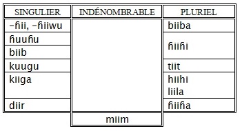 GR-09_Adjectifs indefinis