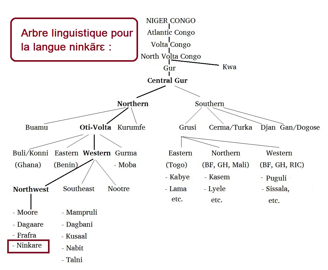 arbre-linguistique-pour-ninkare