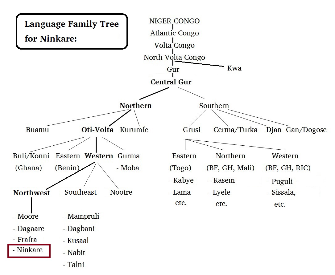 language-family-tree-for-ninkare