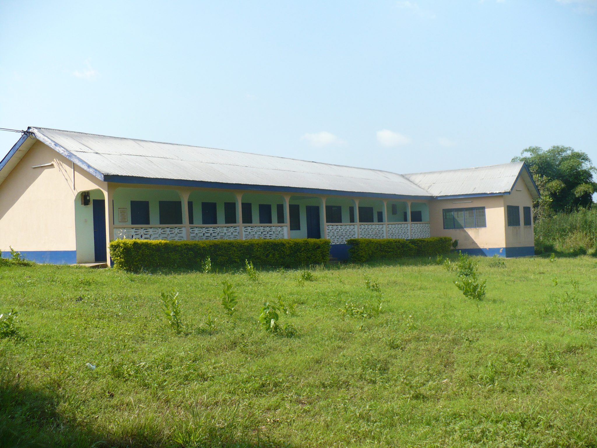 The Nkonya Language Project Offices